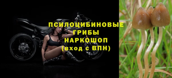синтетический гашиш Абдулино