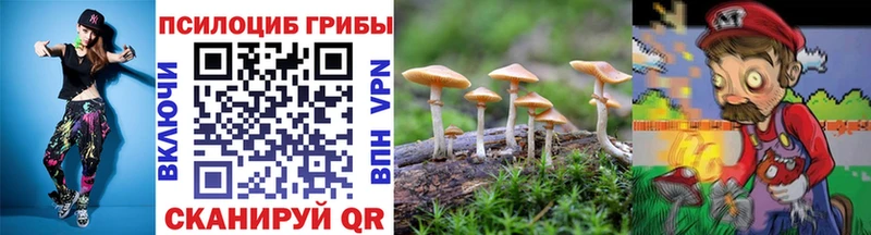 hydra сайт  как найти закладки  Харабали  Псилоцибиновые грибы прущие грибы 